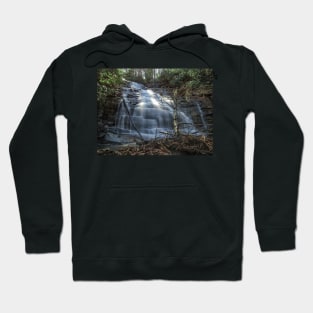 Branch To The Right Hoodie